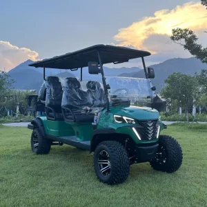 Lithium Battery Golf Cart