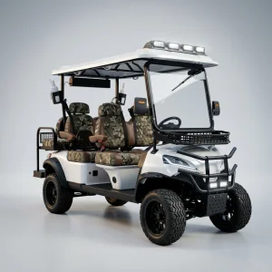 Electric Golf Cart 4 Seater 60V