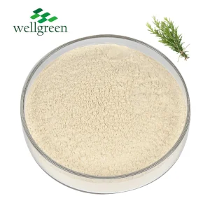 Rosemary Leaf Extract Powder