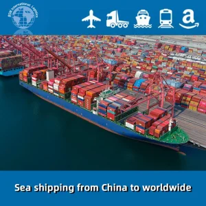 Freight Forwarder Ocean Transport Agent
