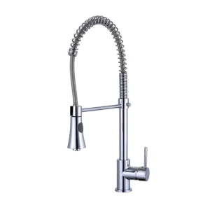 Sanitary Ware Spring Pull out Shower Water Tap Kitchen Sink Faucet