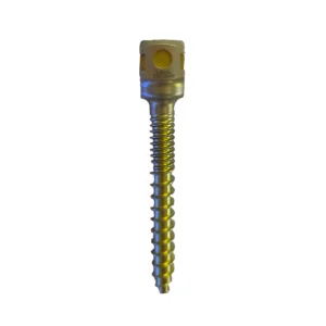 Monoaxial Double Thread Screw