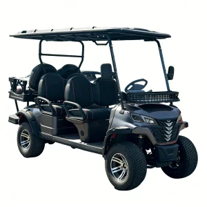 6 Seater AC Motor Golf Cart