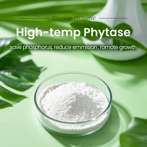 Phytase Feed