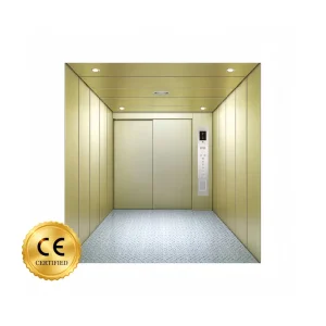 Heavy Duty Cargo Elevator