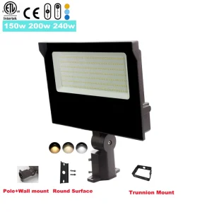 Dimmable Shoe Box Light
