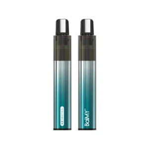 Refreshing Ice Menthol Disposable Vape - 600 Puffs Delight