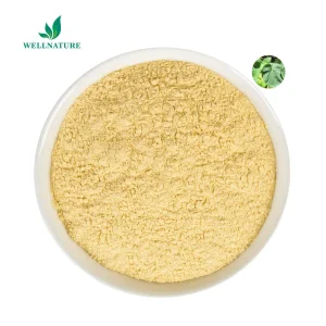 Standardized Kava Extract Powder 30% Kavalactones for Dietary Supplements with GMP