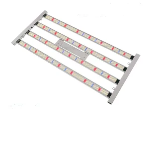 BAVA Light