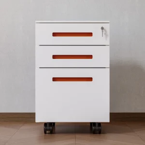 Eco-Friendly Large Capacity Removable Key Lock Activity Cabinet