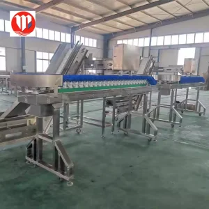 Mingshun Chicken Feet Processing Line with SS304 Specification China Made