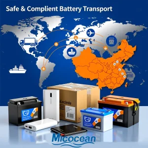 Dg Cargo Battery Shipping Agent From China to Worldwide DDP Door-to-Door Service Class 9