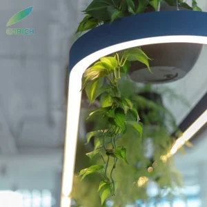 Sustainable Biophilic