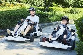 Go-Kart Vietnam Market