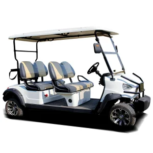 Chinese Electric Golf Carts Vintage Buggy
