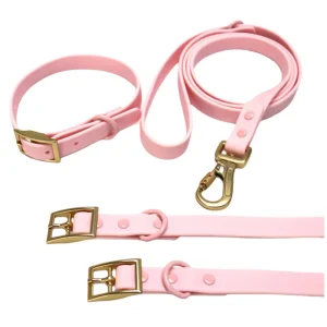 PVC Dog Collar Leash