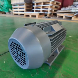 Customized IP55 Motor