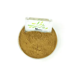 Customized Food Grade Ganoderma Lucidum Herbal Extract Powder (Yellow) Drum Packaging Fruit Part Instant Drink
