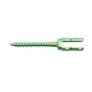 Pedicle Screw