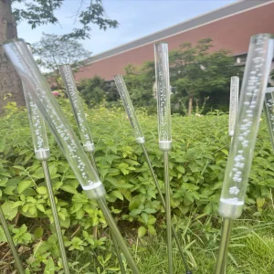 Decorative LED Christmas Light Holiday Light with Eco-Friendly Solar Power