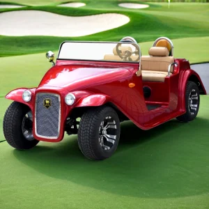 China Electric Vintage Car Designed for Four Riders