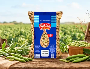 Premium Dried Egyptian Fava Beans 100% Natural Export Quality 25kg