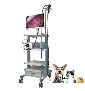 Complete Set Veterinary Endoscopy System