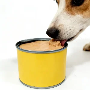 OEM Premium High-Protein Complete Nutrition Dog Food Can Chicken Cartilage Flavor 170g Grain Free Digestive Health Wet Food for