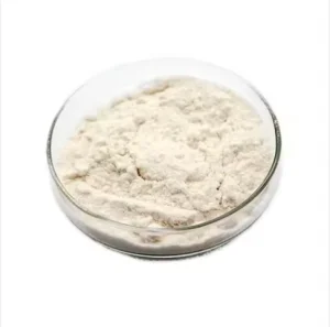 High Activity Lactase Enzymes