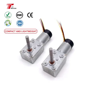 Smart Electronics Worm Reducer Motor