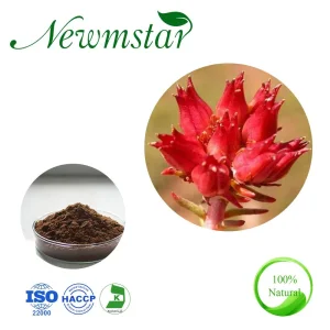 100% Ingredientes Naturais Extrato de Rhodiola Rosea 3% Rosavinas/ Salidrosídeo para Cosméticos
