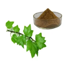 High-Quality Ivy Leaf Extract Powder Plant-Derived Ingredient Offered in Bulk for Food Grade Functional Powder and Herbal Blends