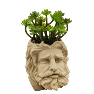China Small Cement Succulent Planter