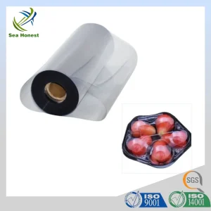 Clamshell Container Uzbekistan