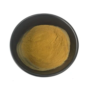 Chinese Herb Chinese Angelica Root Extract/ Dong Quai Extract Powder