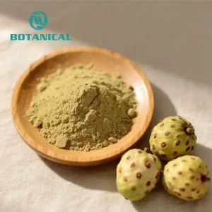 High-Quality Noni Fruit Extract Powder