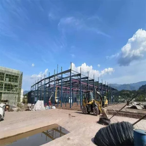 Customized Efficient Steel Structure for Manufacturing Plant