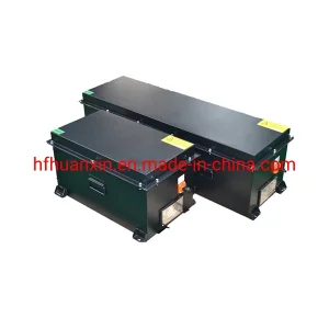 LiFePO4 Battery 48V 100ah for 5kw Motor Electric Vehicles