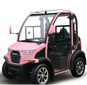Carrinho de Golfe de Luxo com Ar Condicionado