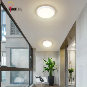 IP54 Ceiling Lamp