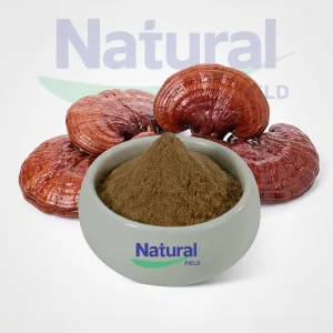 Reishi Mushroom Powder Extract