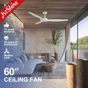 1stshine 60 Inch Large Ceiling Fan DC Motor Ultra Quiet ABS Blades