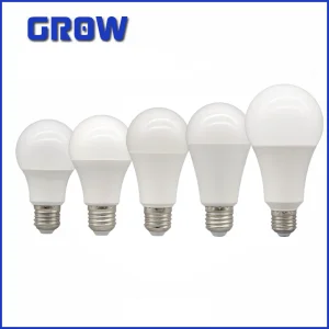 A60 A80 Bulb