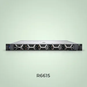 Dell R6615 Server
