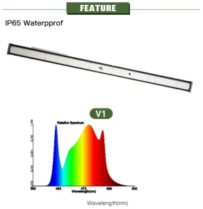 IR UV Full Spectrum 120W 240W MeanWell Driver LED Lamp LM301h LED Grow Light Board For Plants Hydroponics
