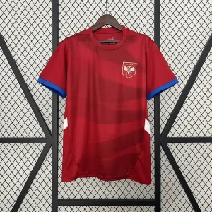 Wholesale 2024/25 Serbia Replica Jersey - European Cup Edition Factory, Exporters