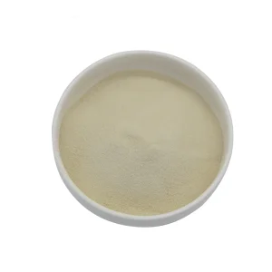 Factory Wholesale Natural Pumpkin seed Extract Bulk Pumpkin Seed Extract Supplements Food Grade Pure Pumpkin Protein Powder