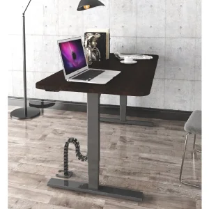 1100-1700mm Metal Sit Stand and Rising Hight Desk with Adjustable Height Jc35ts-R12r-Th