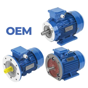 Three Phase Induction AC Motor