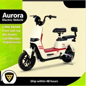 China Colorful Pony Safe Adult Travel E-bike
